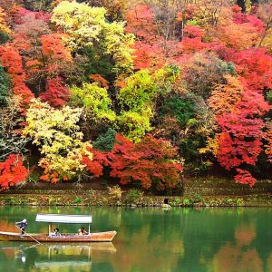 Japan Autumn Leaves Holiday Packages